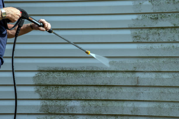 Best Roof Pressure Washing  in Franklin, WI